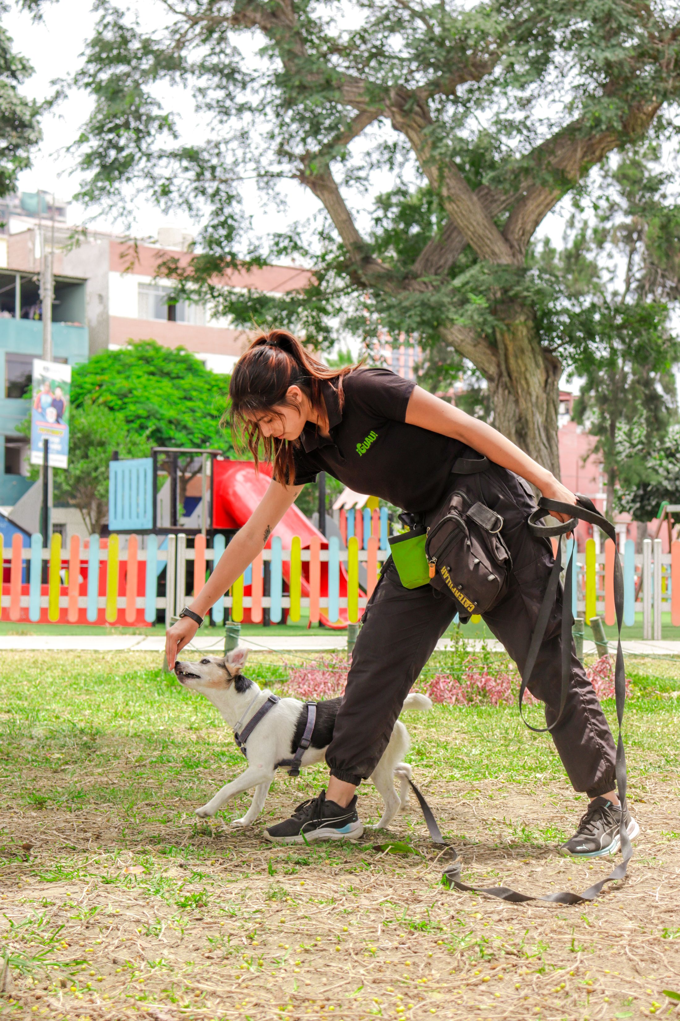 A trainer building focus with a dog outdoors, visual reference for Lead the Way